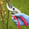 Lee Valley Castellari Curved-Anvil Pruner