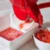 Lee Valley European Tomato Press