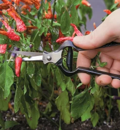 Lee Valley Forged Flower Snips