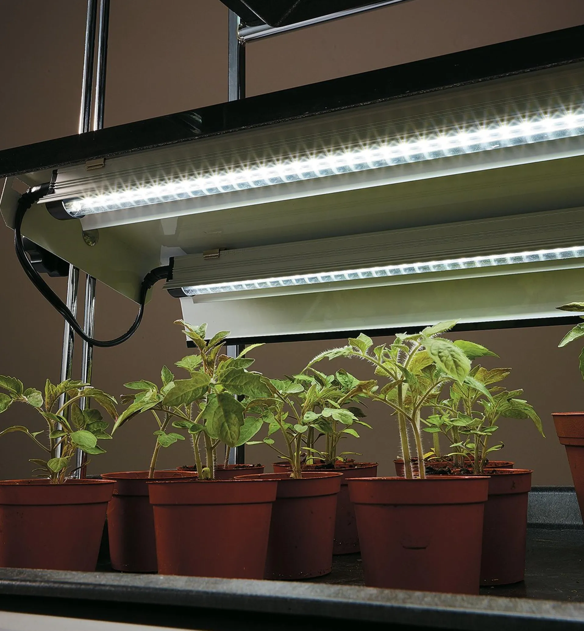 Lee Valley Full-Spectrum LED Grow Lights