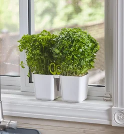 Lee Valley Herb Planter With Shears
