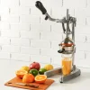 Lee Valley Juice Press