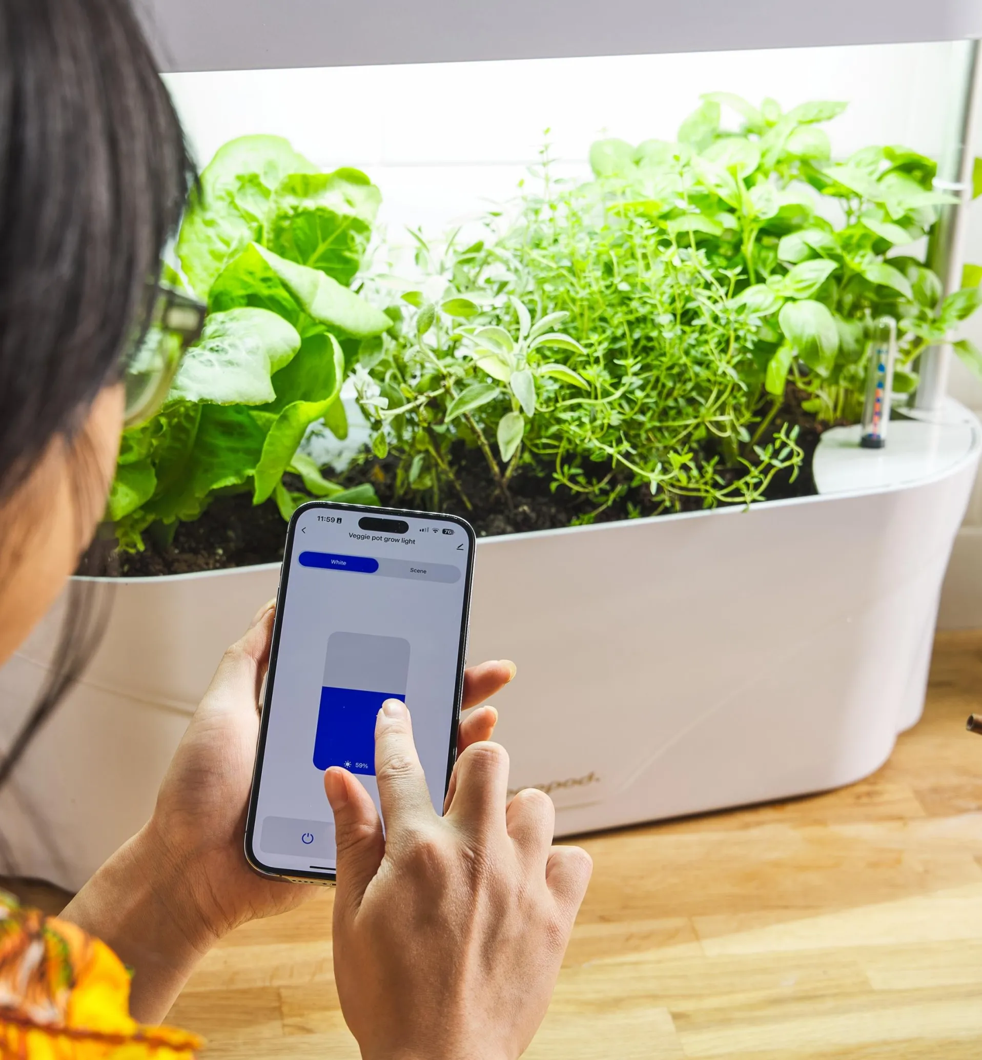 Lee Valley LED Grow Light & Planter