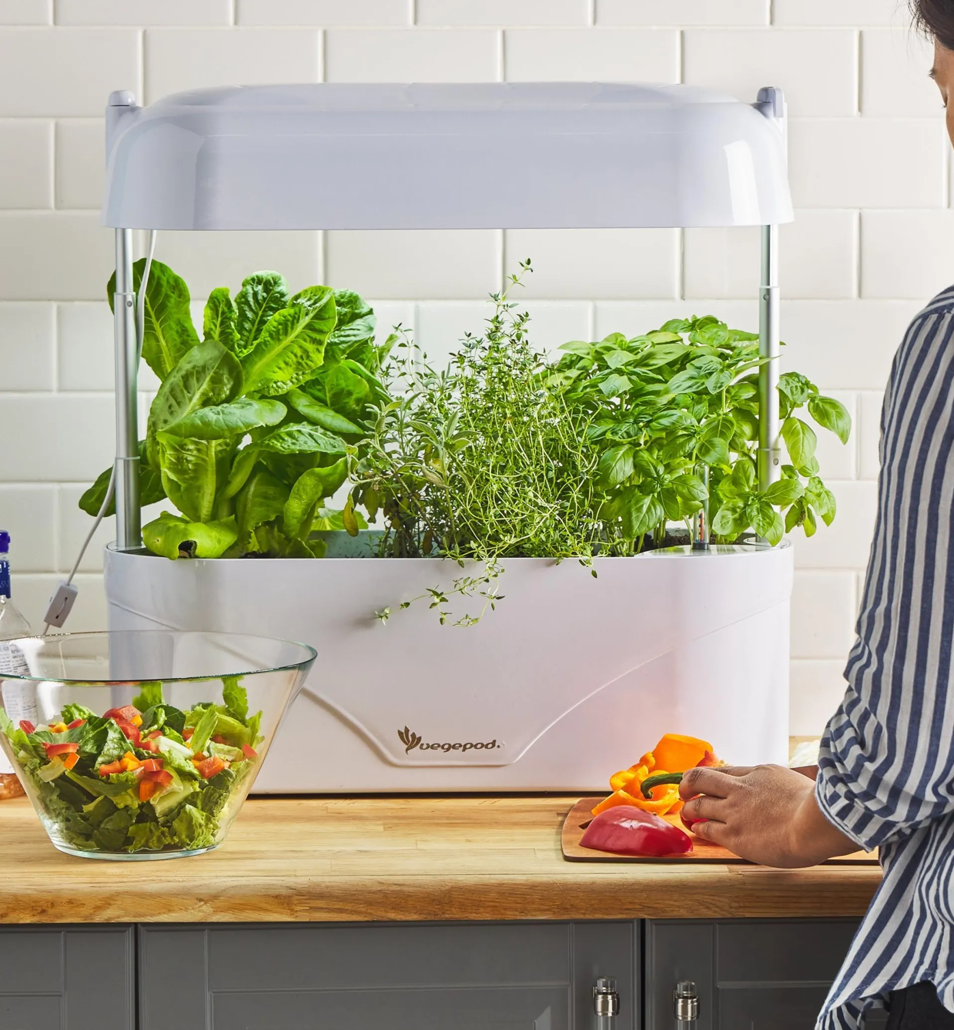 Lee Valley LED Grow Light & Planter