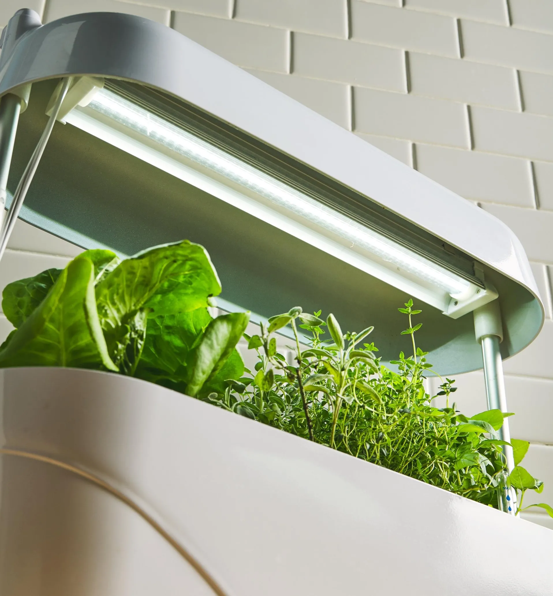 Lee Valley LED Grow Light & Planter