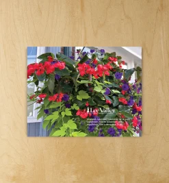 Lee Valley 16-Month Gardening Calendar