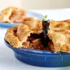 Lee Valley Pie Bird