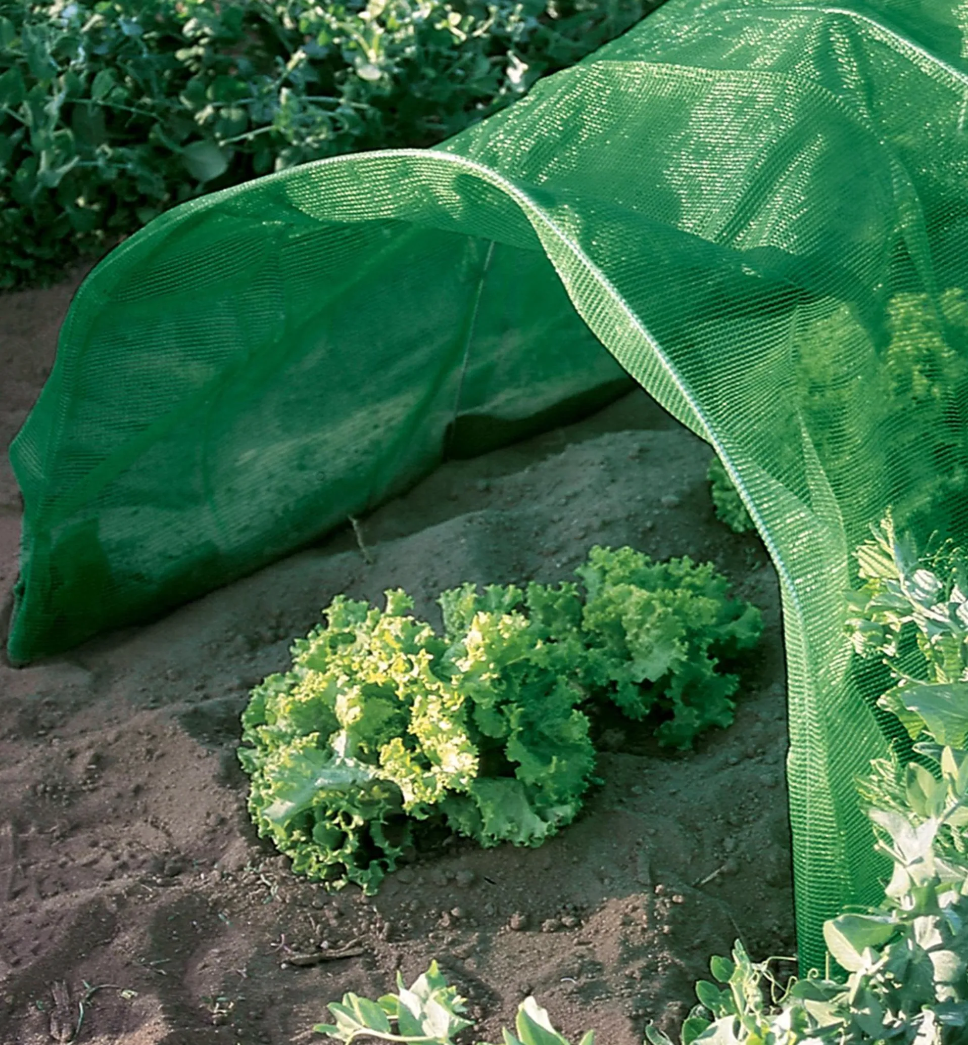 Lee Valley Shade Cloth