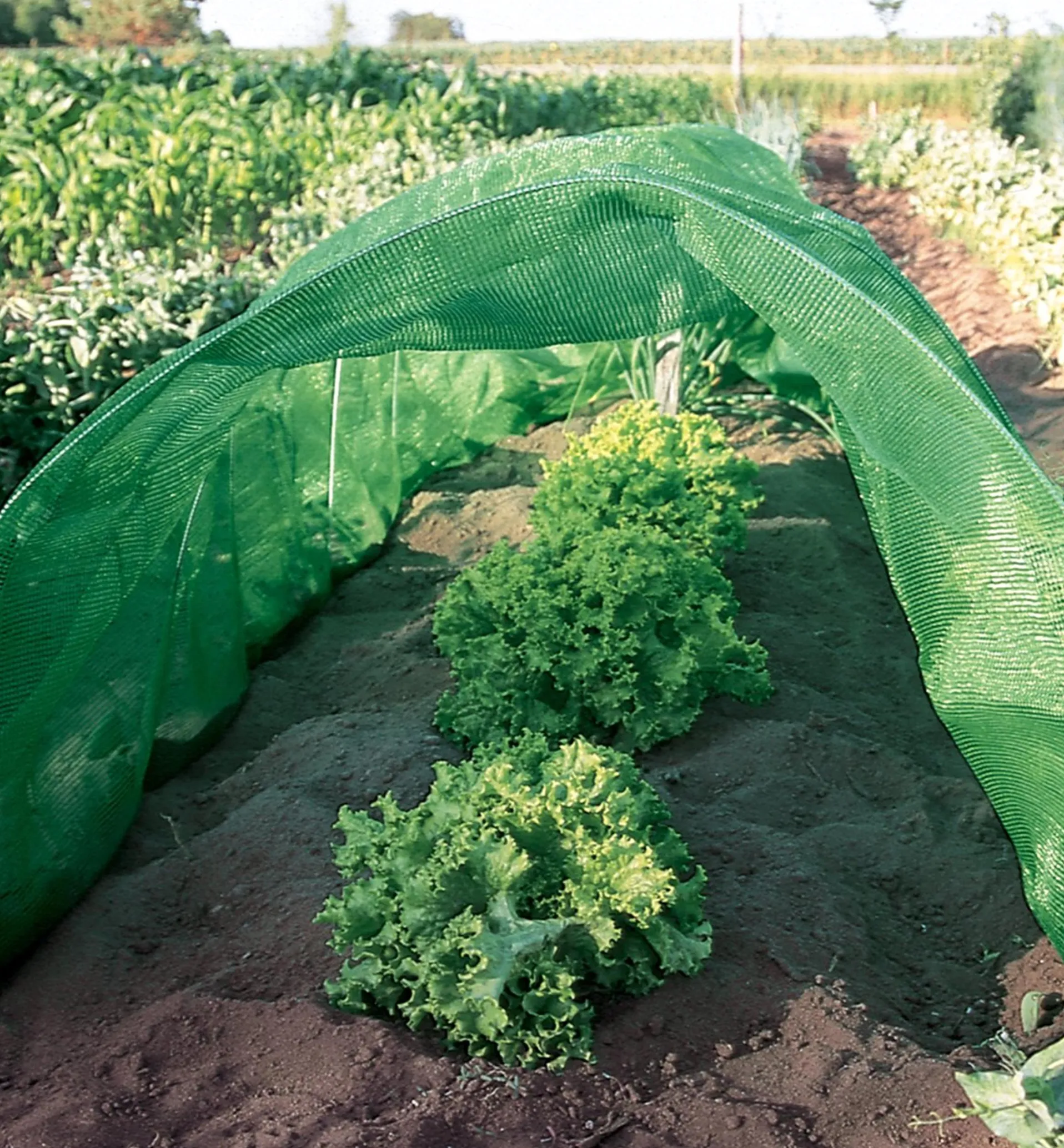 Lee Valley Shade Cloth
