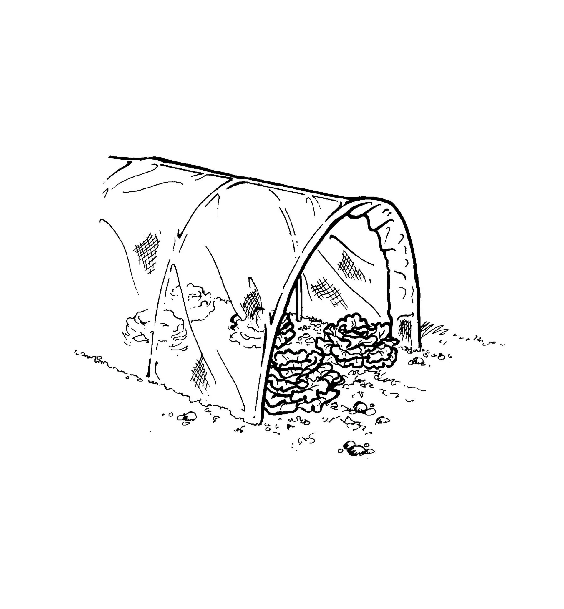 Lee Valley Shade Cloth