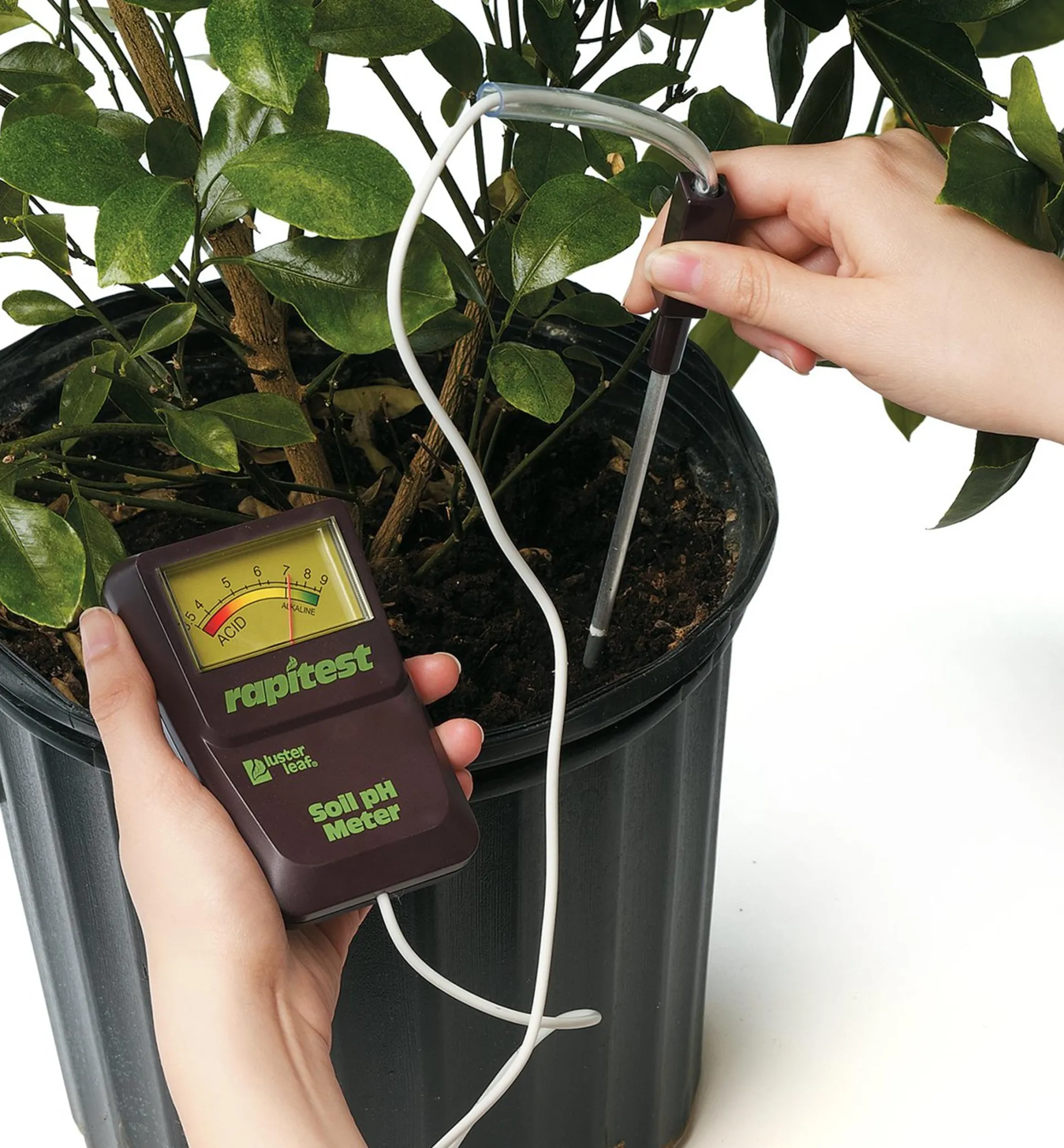 Lee Valley Soil PH Meter