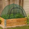 Lee Valley Umbrella Plant Dome